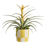 blocks & stripes 15cm cream yellow